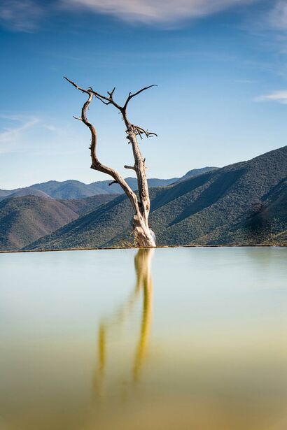 Suspended root  - a Photographic Art Artowrk by Pancho